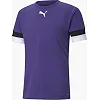 Футболка чоловіча Puma teamRISE Jersey фіолетовий