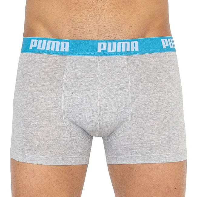 Труси-боксери PUMA BASIC BOXER 2P чоловічі