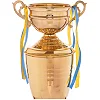 Спортивний кубок
 нагородний SP-SPORT
 Cup C-150 см
5B
 50см