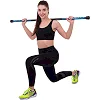 Бодибар Body Bar ZELART
 FI-2611-4 вес 4кг