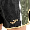 Шорты для кикбоксинга JOMA COMBAT 700147-100 (Черный)