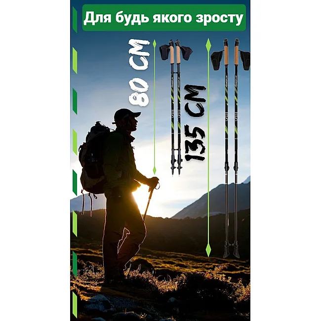 Палки для скандинавской ходьбы PowerPlay 9111 Lykke Green 80-135 см (пара) + 2-е пары сапог + чехол