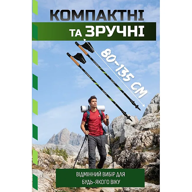 Палки для скандинавской ходьбы PowerPlay 9111 Lykke Green 80-135 см (пара) + 2-е пары сапог + чехол