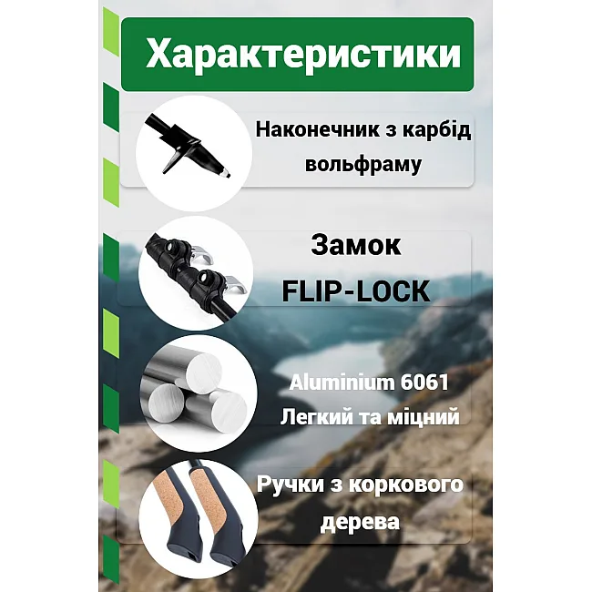 Палки для скандинавской ходьбы PowerPlay 9111 Lykke Green 80-135 см (пара) + 2-е пары сапог + чехол
