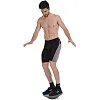 Балансировочный диск
 балансборд BALANCE BOARD ZELART
 FI-2583 40х8см