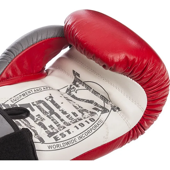Боксерські рукавиці шкіра EVERLAST EV-009B