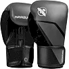 Перчатки для бокса HAYABUSA E1 Grey Black