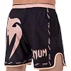 Шорти для кікбоксингу VENUM GIANT DK15