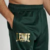 Спортивний костюм Leone Premium Green