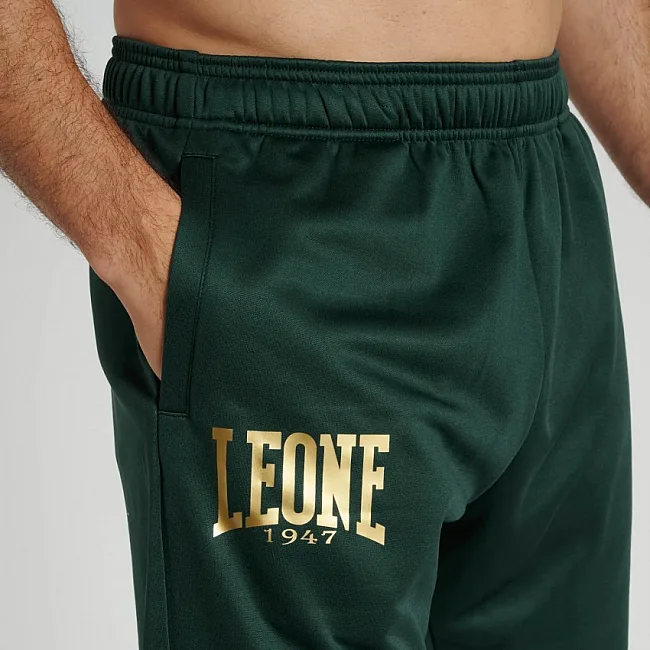 Спортивний костюм Leone Premium Green