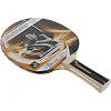 Ракетка для настольного тенниса DONIC Waldner 300 MT-703001