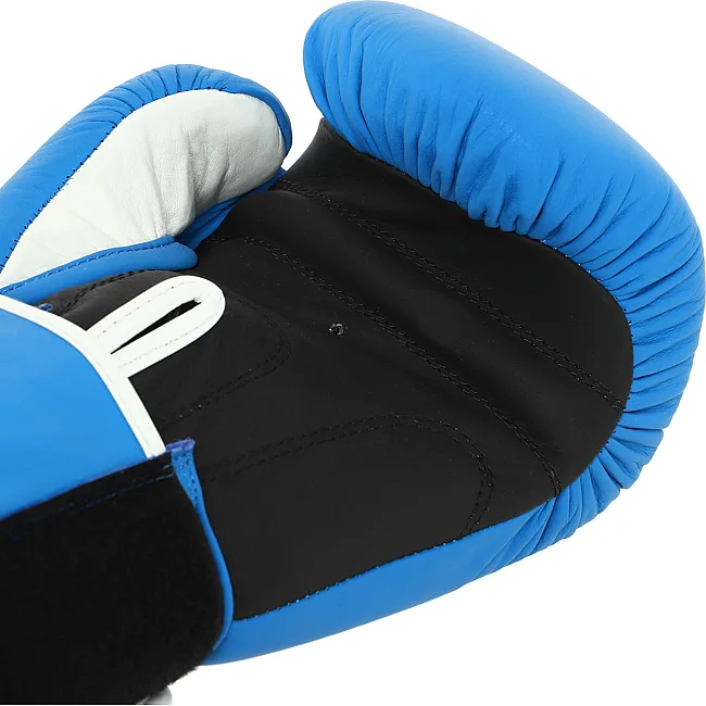 Перчатки для бокса


 кожаные FAIRTEX
 F-8577 MATT 12-14унций (Синий-черный)