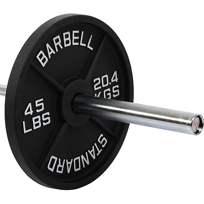 Блины диски стальные окрашенные STANDARD SC-80103-45LB 50мм 20,4кг