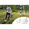 Сетка для ворот Neo-Sport NS-1480 180 х 120 х 60 см, белая