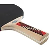 Ракетка для настольного тенниса DONIC Legends 600 FSC MT-724416