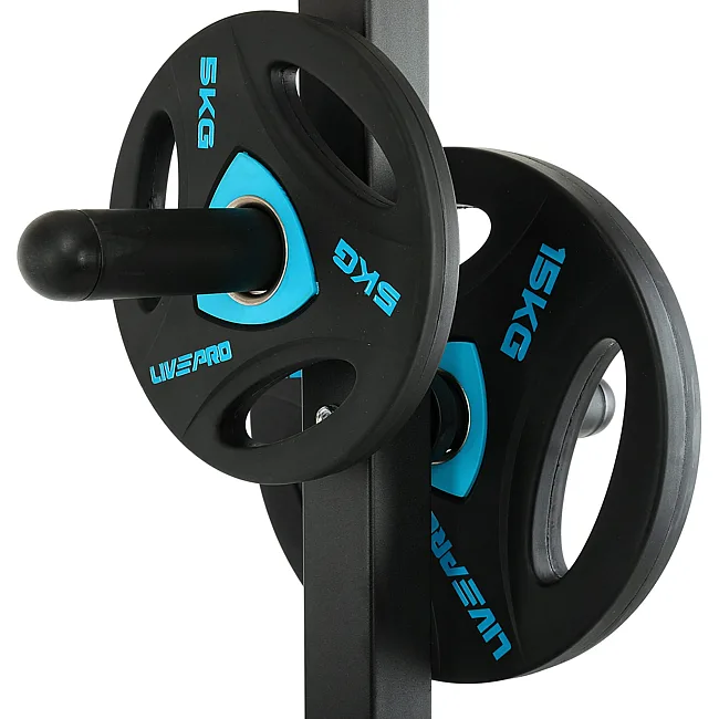Стойка вертикальная для блинов дисков и грифов LiveUp LP8894
18,09х40,1х100см