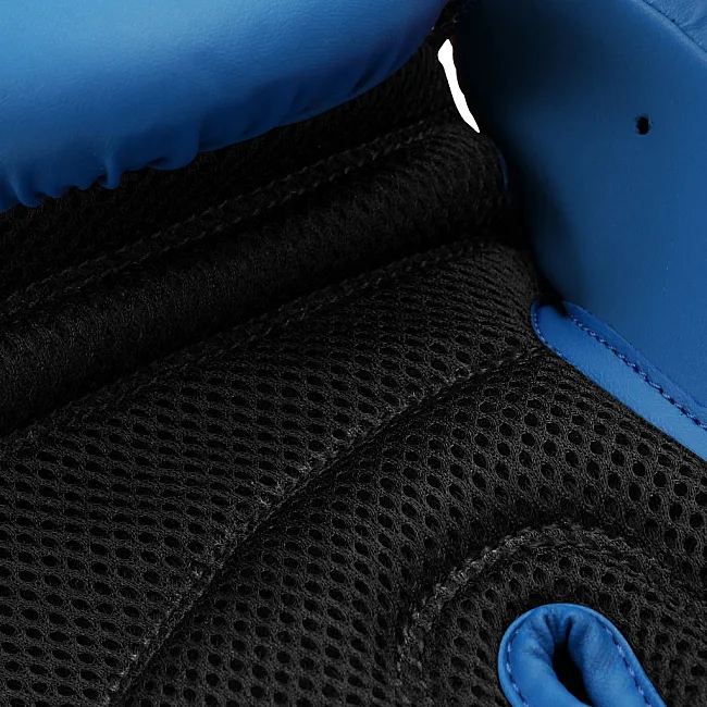 Рукавиці боксерські Adidas Hybrid 25 (синьо-чорний, ADIH25)