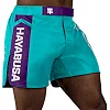 Шорты для ММА HAYABUSA Icon Mid-Thigh MMA Teal White
