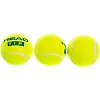 Теннисный мяч HEAD TIP GREEN 578233 3шт