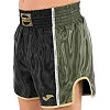 Шорты для кикбоксинга JOMA COMBAT 700147-100 (Черный)