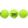 Мячи для большого тенниса DUNLOP ATP CHAMPIONSHI DL601332 3шт