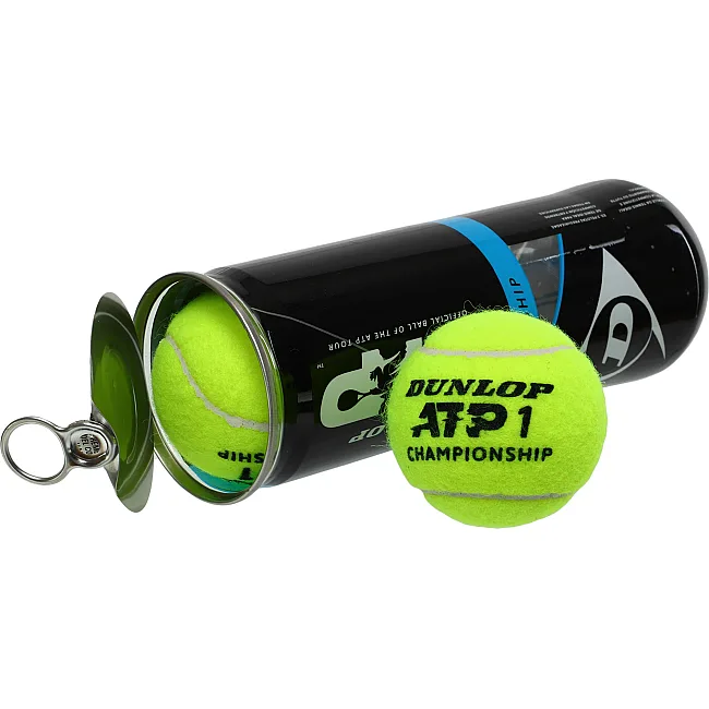 Мячи для большого тенниса DUNLOP ATP CHAMPIONSHI DL601332 3шт