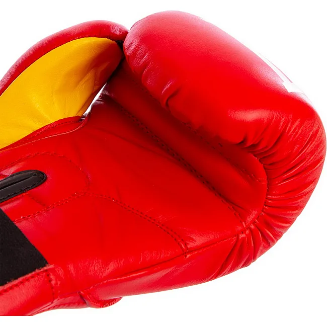 Боксерські рукавиці шкіряні Everlast MA-6758