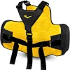 Защитный жилет тренера EVERLAST Elite Black