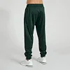 Спортивний костюм Leone Premium Green