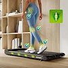 Беговая дорожка электрическая Zipro Catwalk