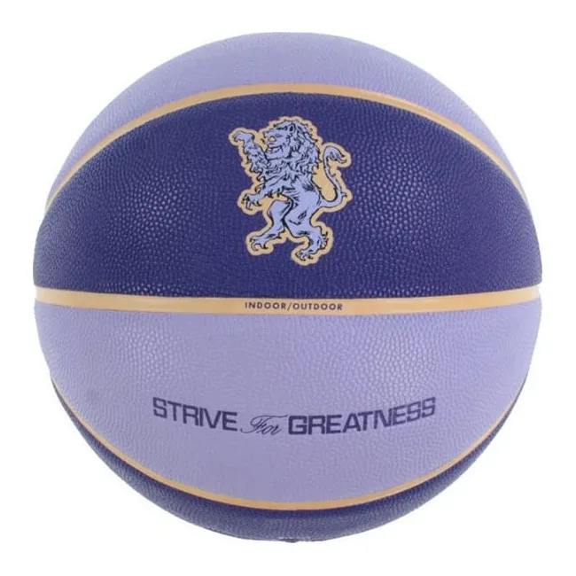 М'яч баскетбольний Nike ALL COURT 2.0 8P L JAMES DEFLATED фіолетовий
