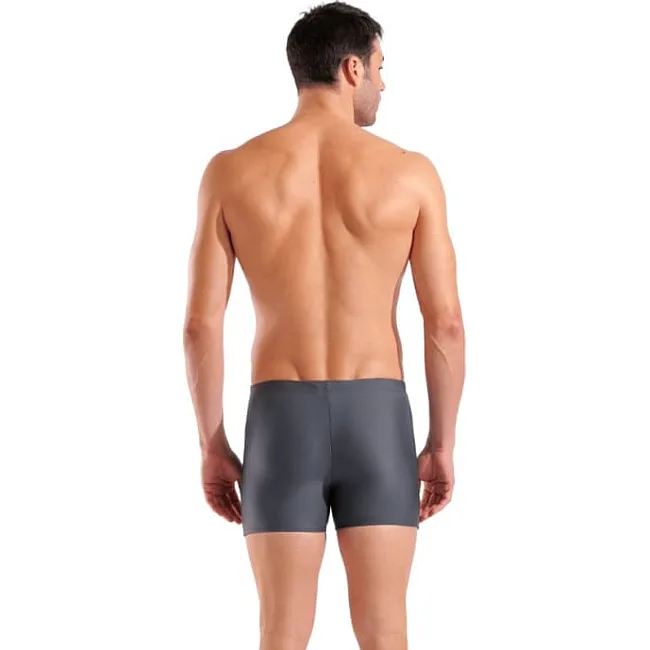 Плавки-шорты для мужчин Arena SCRATCHY SWIM SHORT серый