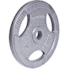 Диск чугунный inSPORTline Hamerton 15 кг