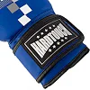 Рукавички для боксу PU HARD TOUCH BO-5230 (Чорний)