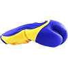 Перчатки для бокса TWINS Velcro Extra Design BGVL6 Gold Blue