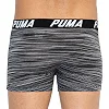 Труси-боксери PUMA SPACEDYE STRIPE BOXER 2P чоловічі