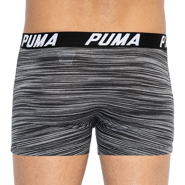 Труси-боксери PUMA SPACEDYE STRIPE BOXER 2P чоловічі