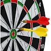 Дартс из Флока Flocked 6 дротиков и мишень BAILI
 SJ-17316 17