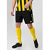 Спортивні шорти Allround JAKO 4499-803
