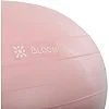 Фитбол мяч для баланса Пончик сатин BLOOM LB7050 ø55см (Коричневый)