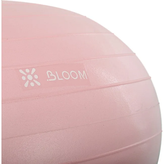 Фитбол мяч для баланса Пончик сатин BLOOM LB7050 ø55см (Коричневый)