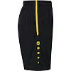 Спортивні шорти Allround JAKO 4499-803