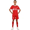 Футбольна форма дитяча із символікою клубу
 LIVERPOOL домашня 2024 SP-SPORT

 CO-7190 (Червоний)