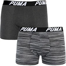 Труси-боксери PUMA SPACEDYE STRIPE BOXER 2P чоловічі