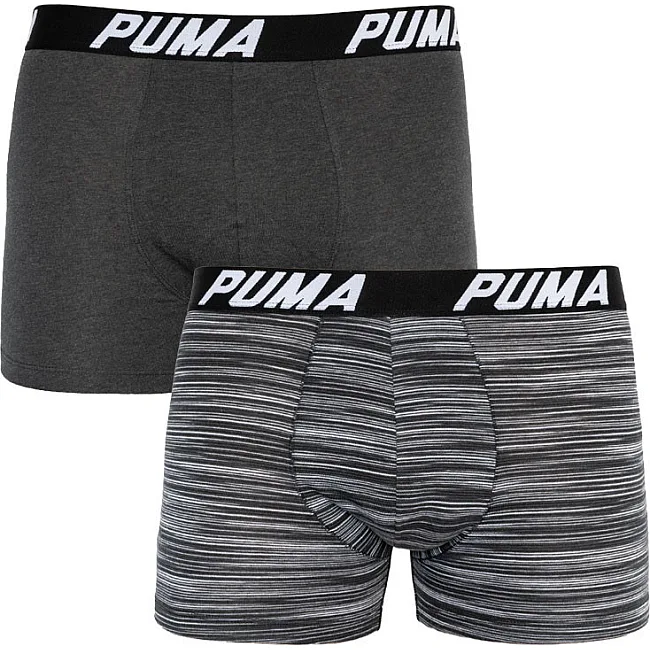 Труси-боксери PUMA SPACEDYE STRIPE BOXER 2P чоловічі