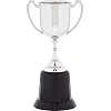 Спортивный кубок наградной SP-SPORT Pluck C-851 22см (Серебряный)