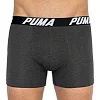 Труси-боксери PUMA SPACEDYE STRIPE BOXER 2P чоловічі