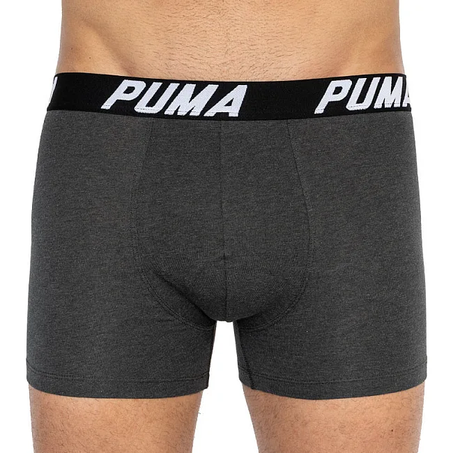 Труси-боксери PUMA SPACEDYE STRIPE BOXER 2P чоловічі