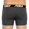 Труси-боксери PUMA SPACEDYE STRIPE BOXER 2P чоловічі