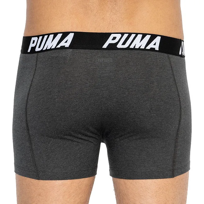 Труси-боксери PUMA SPACEDYE STRIPE BOXER 2P чоловічі